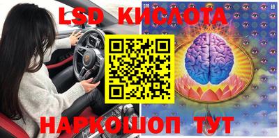 прущие грибы Гусиноозёрск