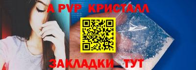 прущие грибы Гусиноозёрск