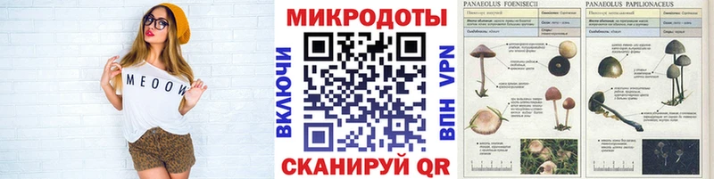 дарнет шоп  Добрянка  Галлюциногенные грибы Psilocybe 