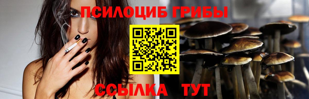 Галлюциногенные грибы Cubensis Добрянка