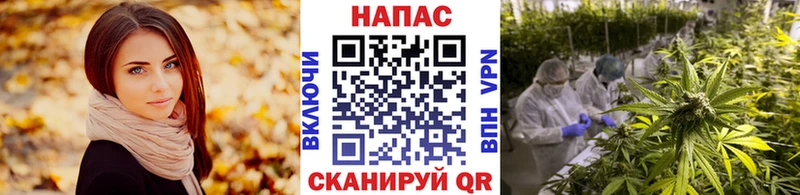 Марихуана план  Добрянка 